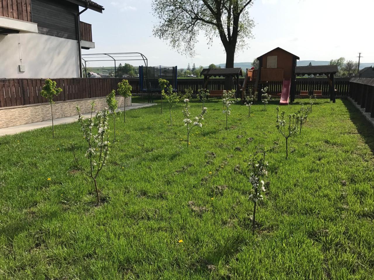 Pensiunea Dany - Crys Zvoristea Buitenkant foto